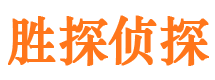 新城侦探公司